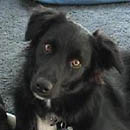 Hurley was adopted in March, 2005